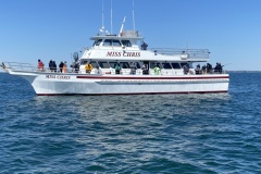 2023 FISHING SEASON