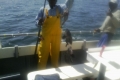 henry_opt 2